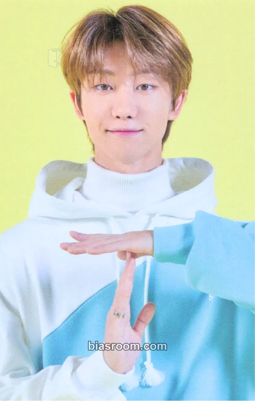 The8 2020 4TH SVT IN CARAT LAND Photocard - SEVENTEEN - SEVENTEEN K-pop photocard