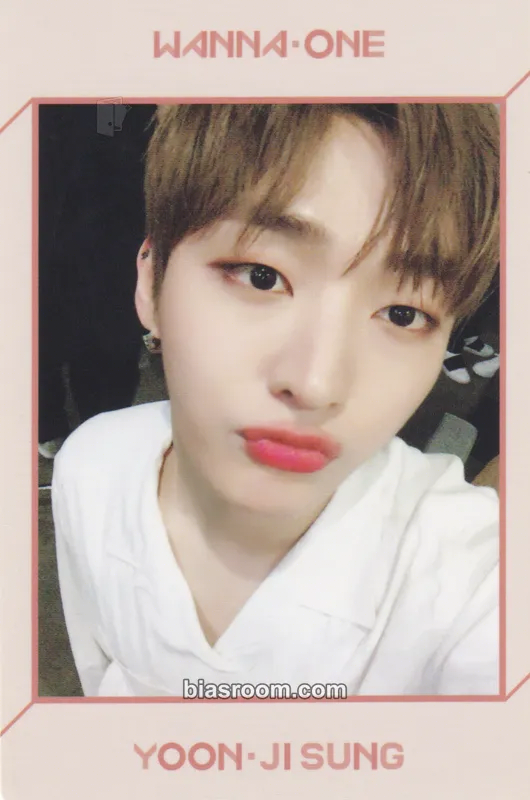 Jisung 1÷x=1 (Undivided) Photocard - Wanna One - Wanna One K-pop photocard