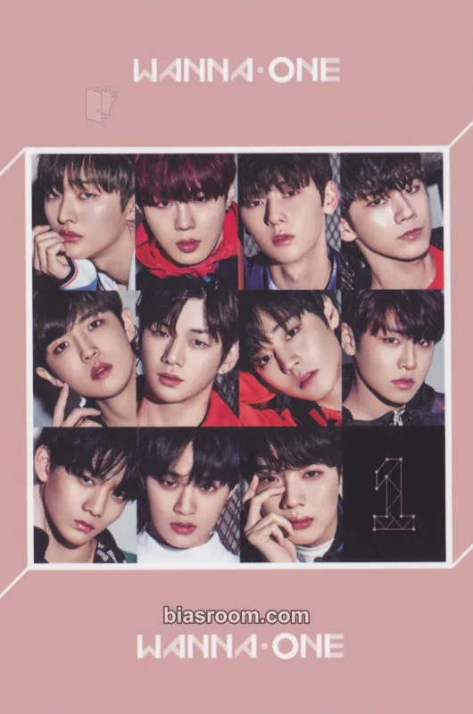 1÷x=1 (Undivided) Photocard - Wanna One - Wanna One K-pop photocard