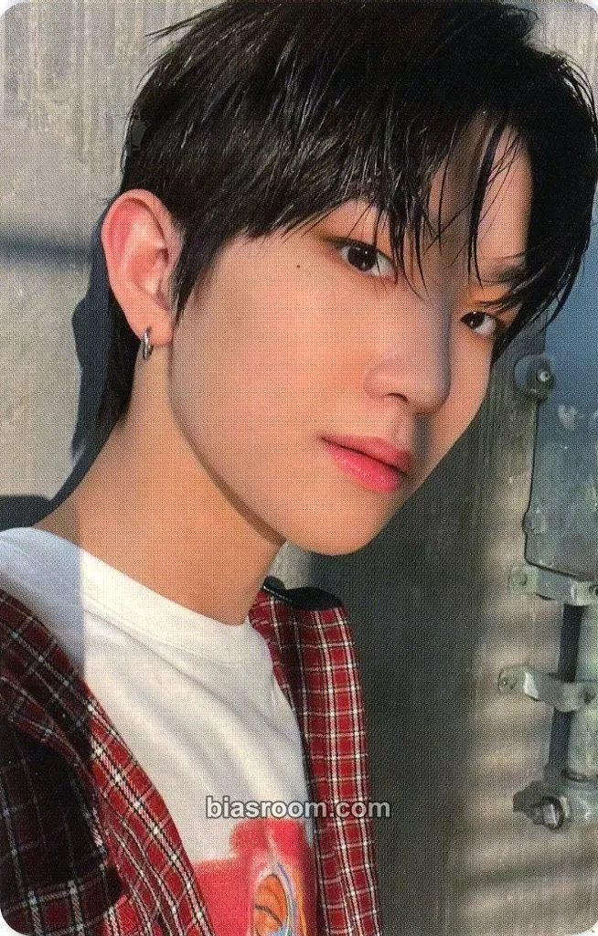 Sungjun LOVE NEVER DIES Photocard - TNX - TNX K-pop photocard