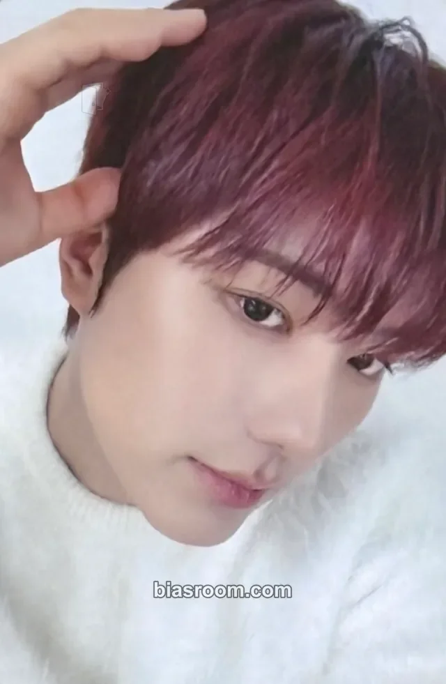 DAILY:DIRECTION - EN-KIM - FIRST:DELIVERY Album mystargoods (MSG)
