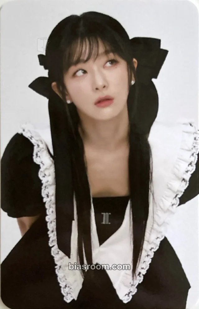 Red Velvet - Seulgi - 2024 Season's Greetings Other season's greetings photo pack
