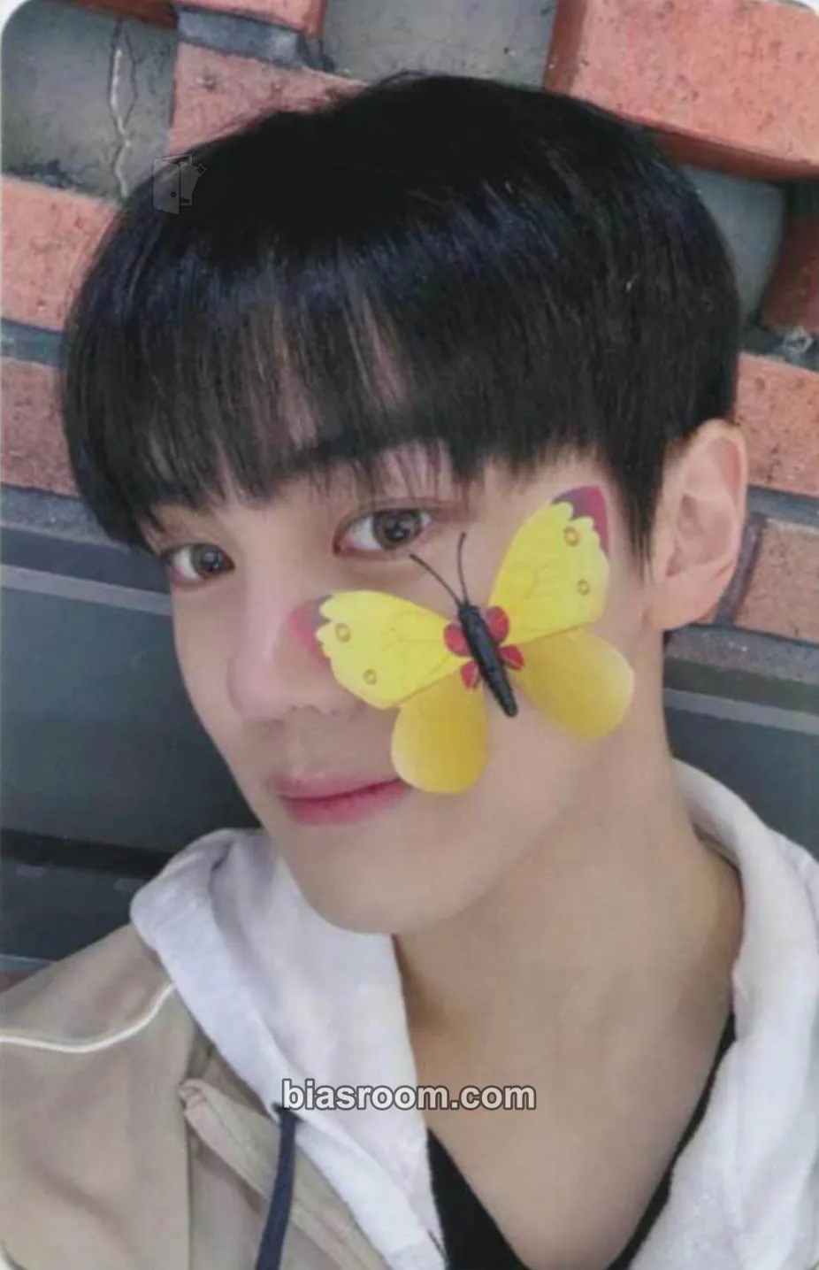Gyuvin You Had Me at Hello Photocard - ZEROBASEONE - ZEROBASEONE K-pop photocard