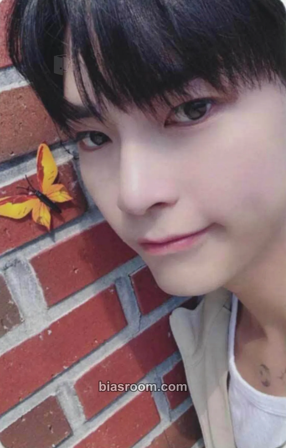 Hanbin You Had Me at Hello Photocard - ZEROBASEONE - ZEROBASEONE K-pop photocard