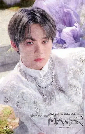 Lee Know Maniac World Tour Photocard - Stray Kids - Stray Kids K-pop photocard