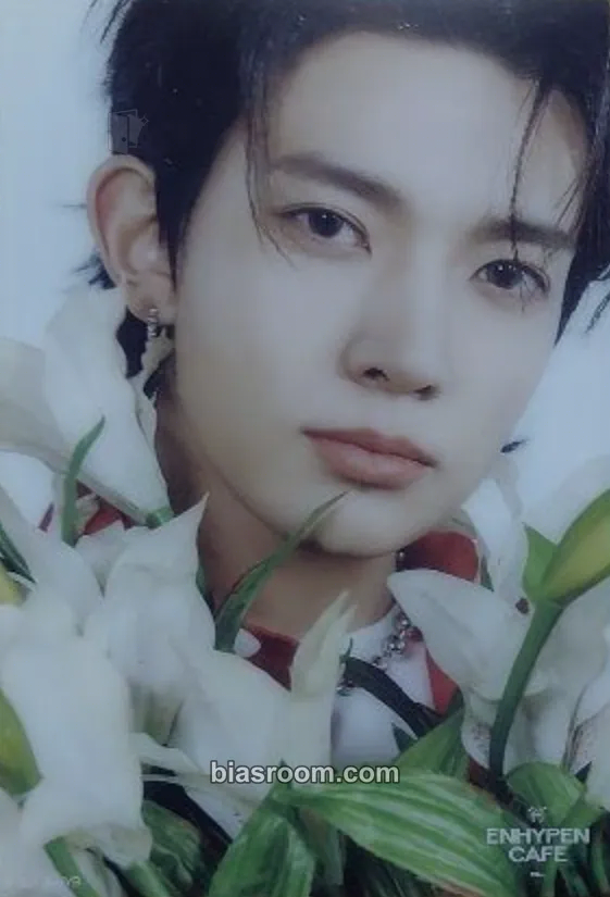 Heeseung Enhypen Cafe 2025 Photocard - ENHYPEN - ENHYPEN K-pop photocard