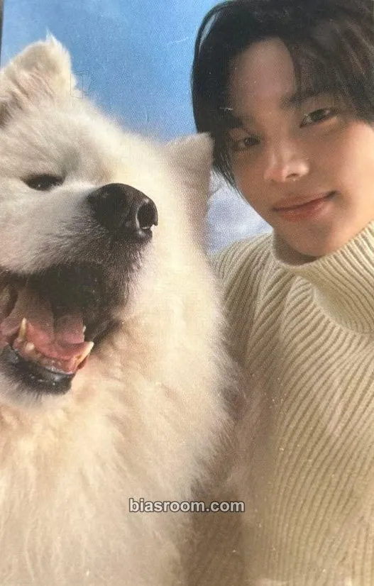 Shinyu Last Bell Photocard - TWS - TWS K-pop photocard