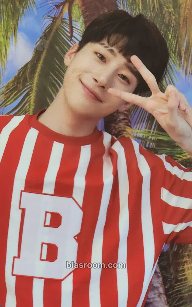 VICTON - Seungwoo - Identity Album album photocard