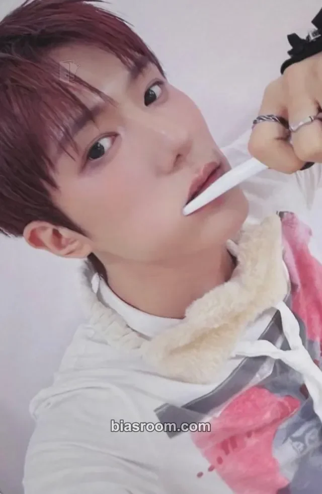 DAILY:DIRECTION - EN-KIM - FIRST:DELIVERY Album dear my muse (dmm)