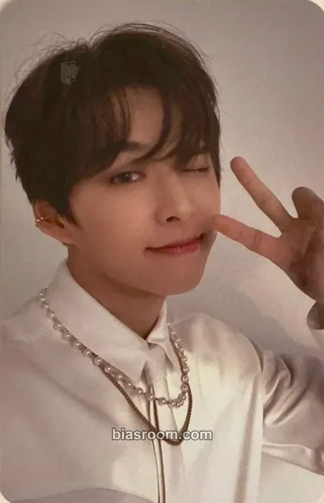 D-CRUNCH - Dylan - Daydream Album album photocard
