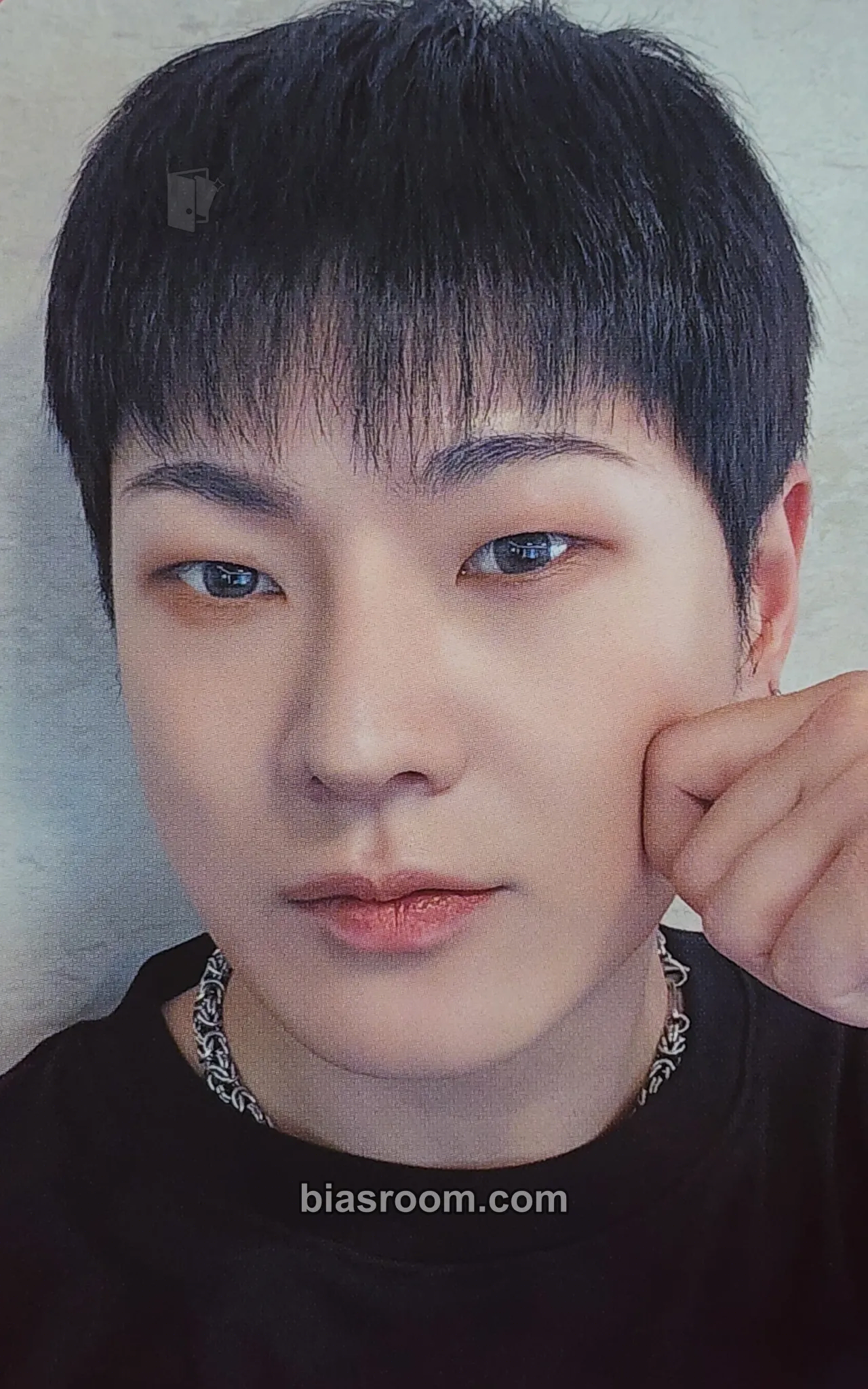 Hanse Chronicle Fanconcert Photocard - VICTON - VICTON K-pop photocard