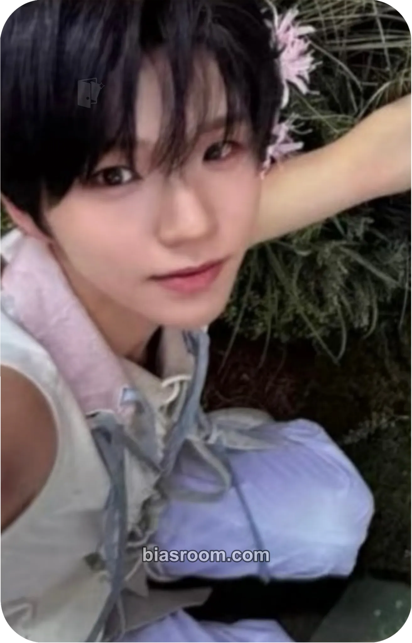 Jaehee Ode to Love MD Photocard - NCT WISH - NCT WISH K-pop photocard