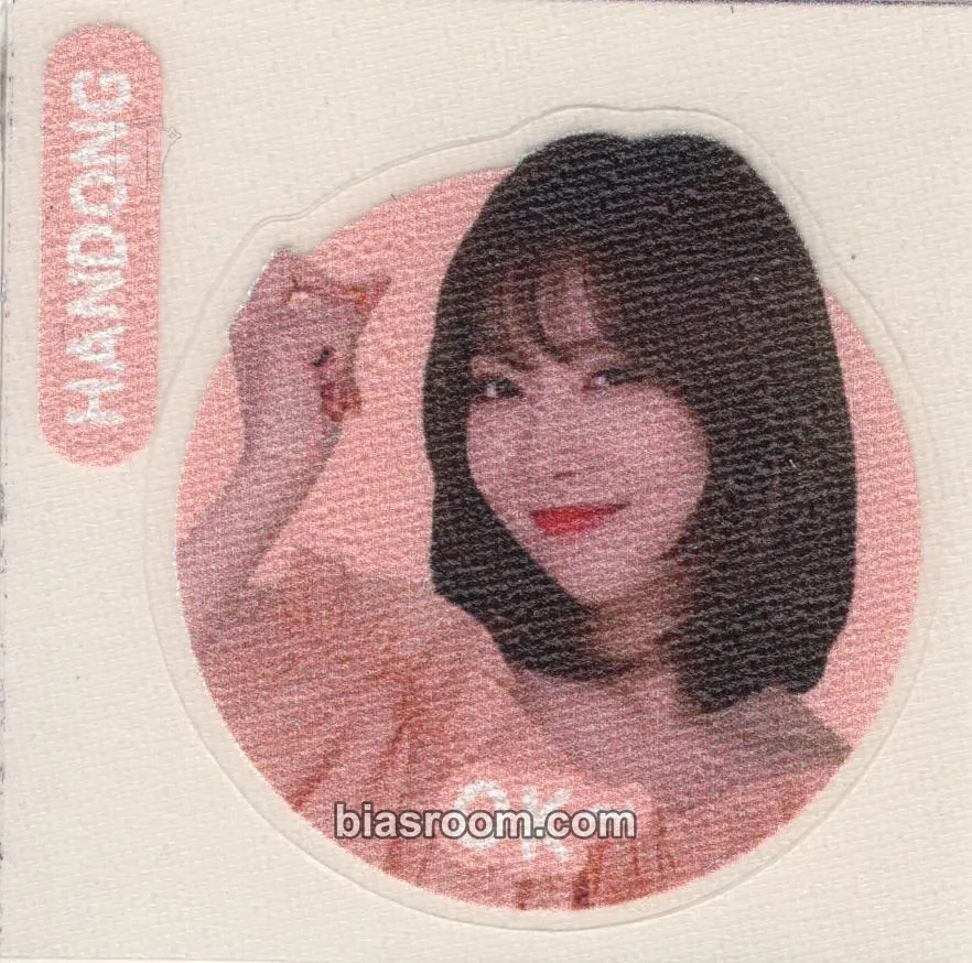 Handong Tour Photobook Photocard - Dreamcatcher - Dreamcatcher K-pop photocard