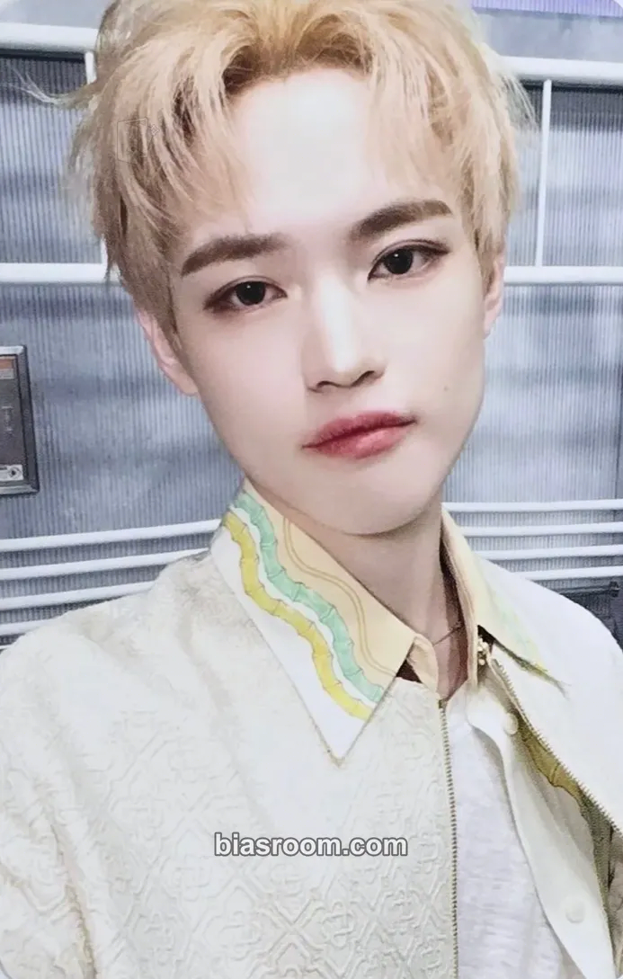 Chenle DREAMSCAPE MD Photocard - NCT DREAM - NCT DREAM K-pop photocard