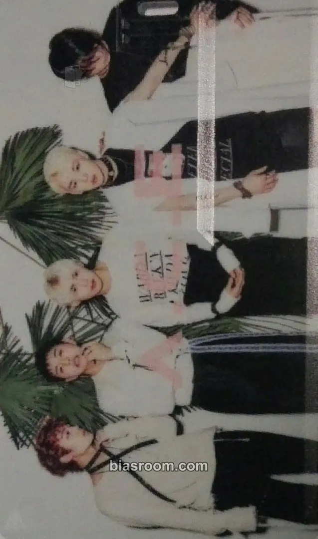 Cactus Photocard - A.C.E - A.C.E K-pop photocard