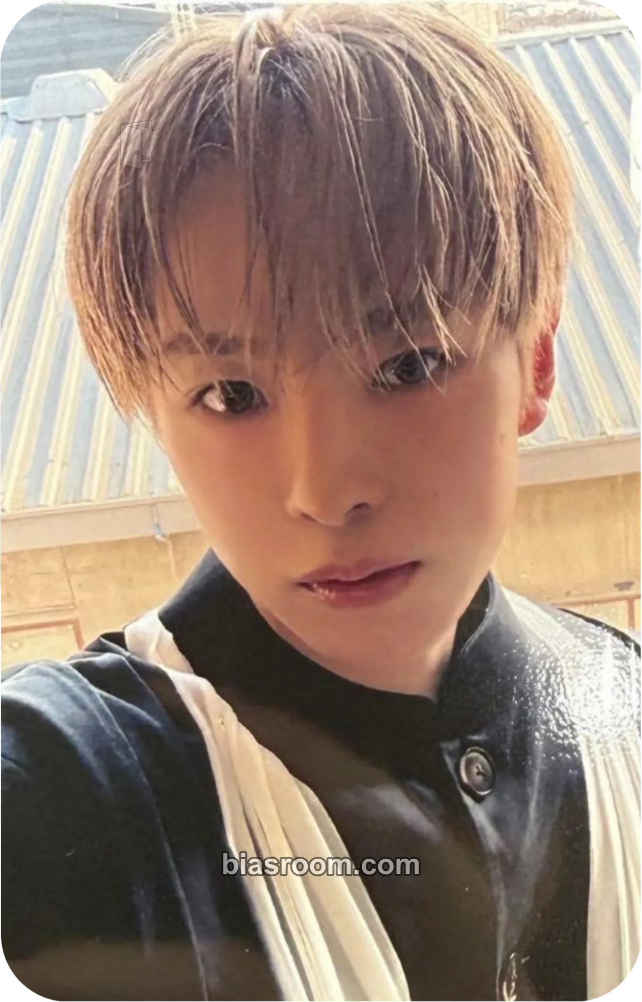 Yushi Ode to Love Photocard - NCT WISH - NCT WISH K-pop photocard