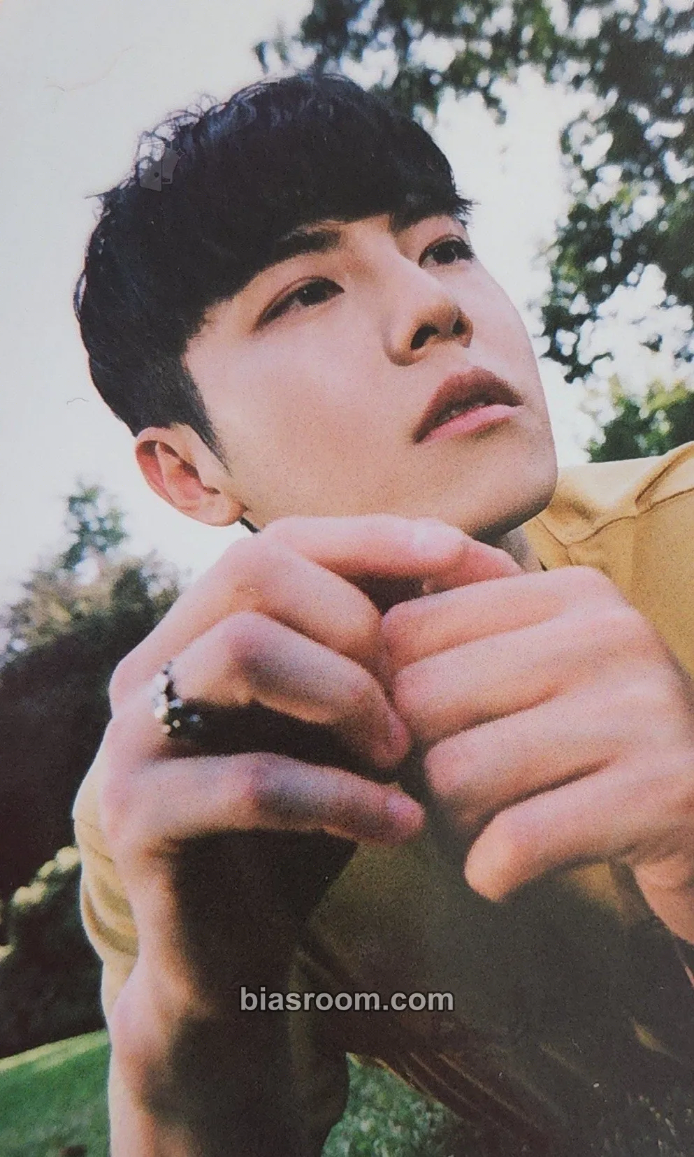 Taegyeom Arena Club Photocard - The Rose - The Rose K-pop photocard