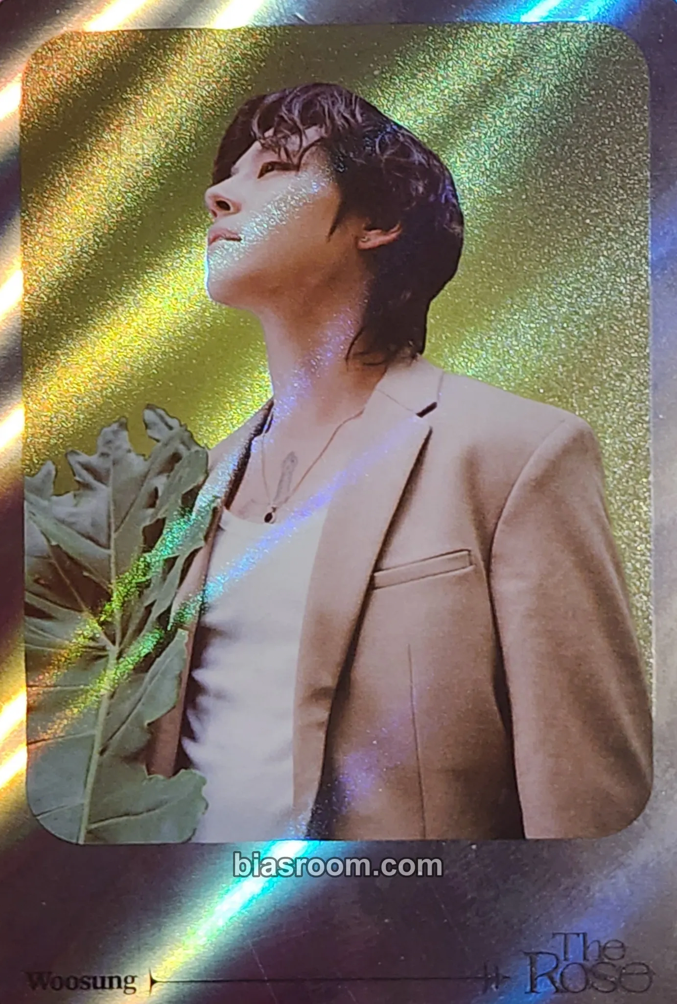 Woosung Arena Club Photocard - The Rose - The Rose K-pop photocard