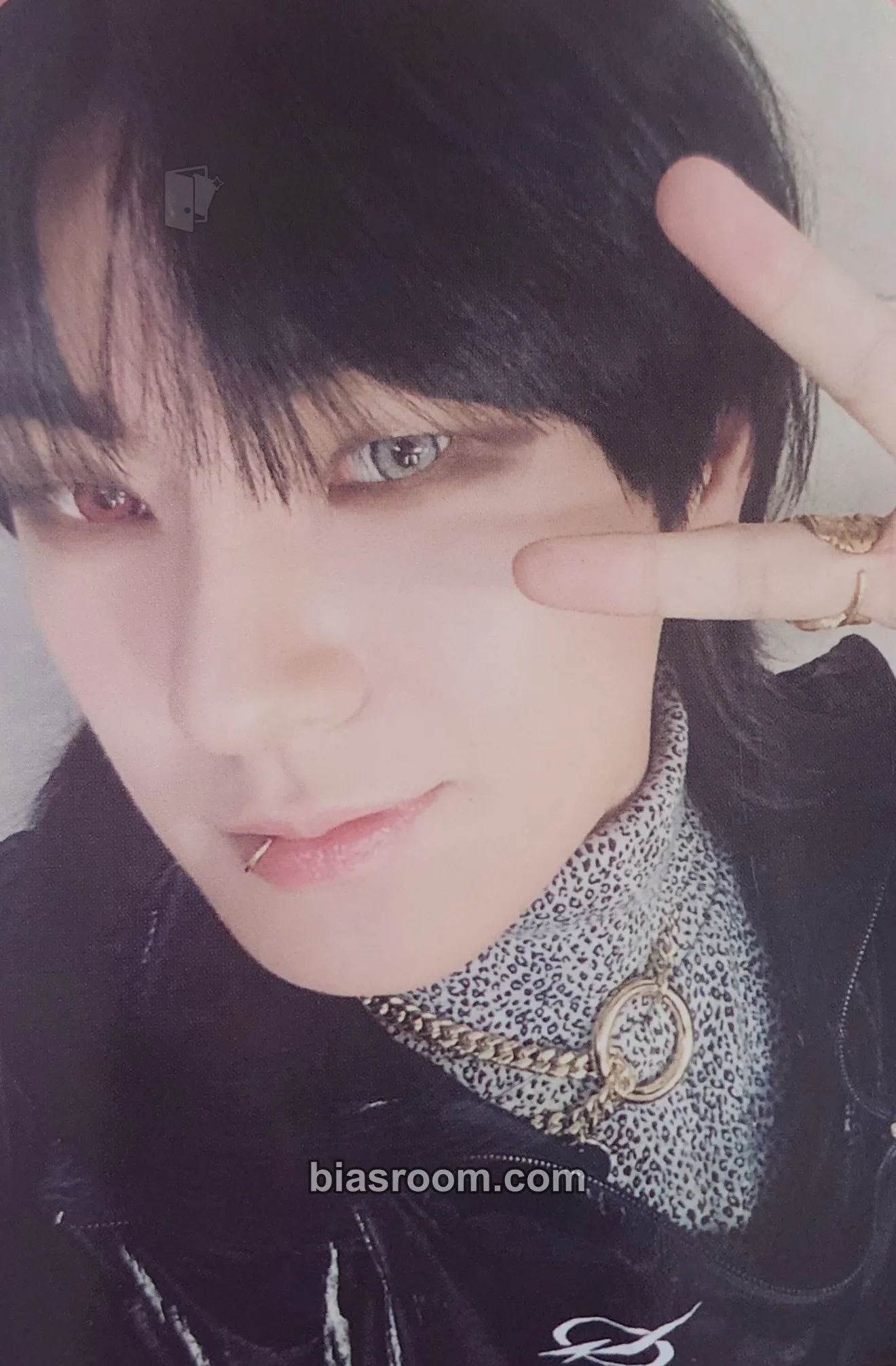 Hanse ALICE JAPAN Anniversary (1st, 2nd) Photocard - VICTON - VICTON K-pop photocard