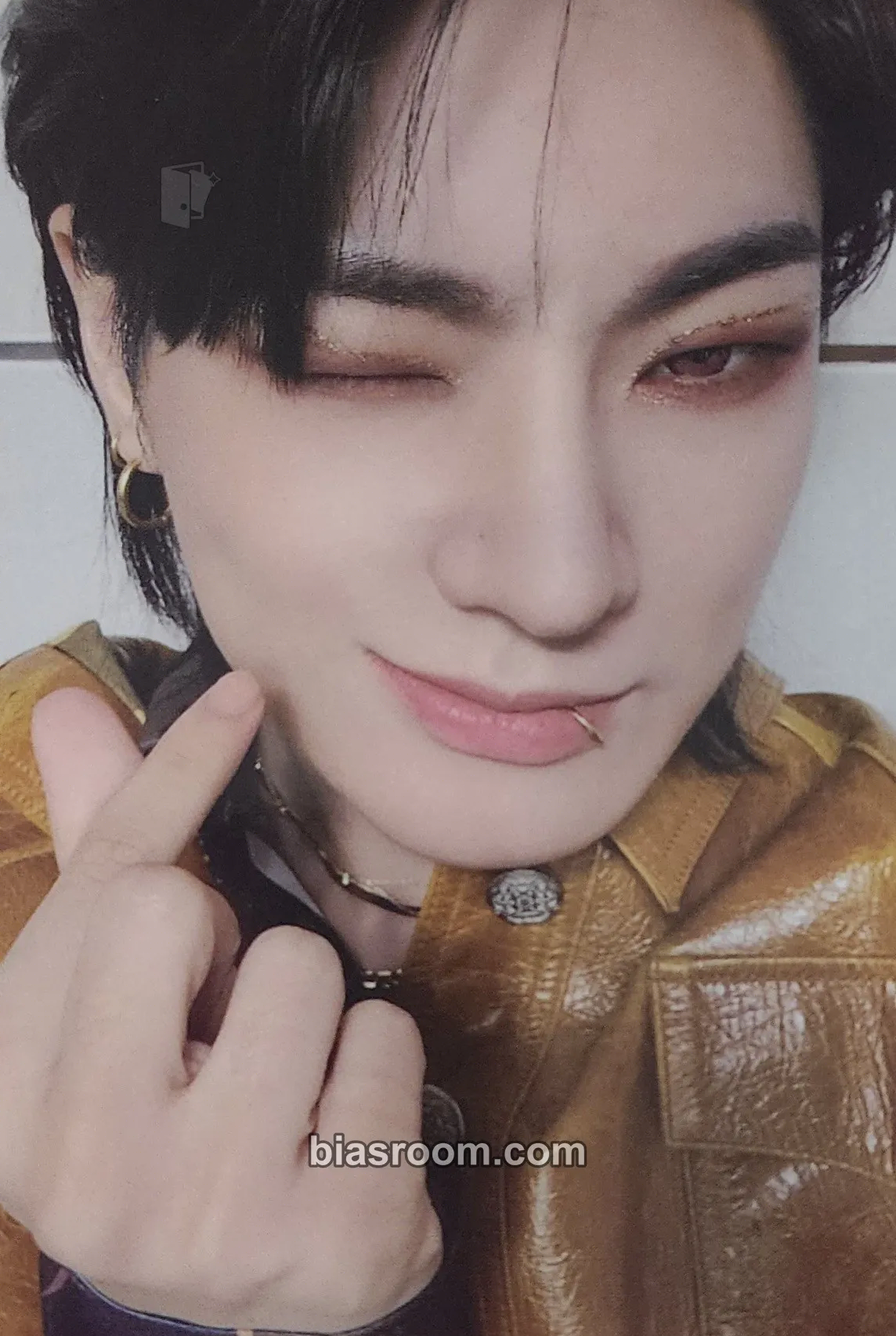 Hanse ALICE JAPAN Anniversary (1st, 2nd) Photocard - VICTON - VICTON K-pop photocard