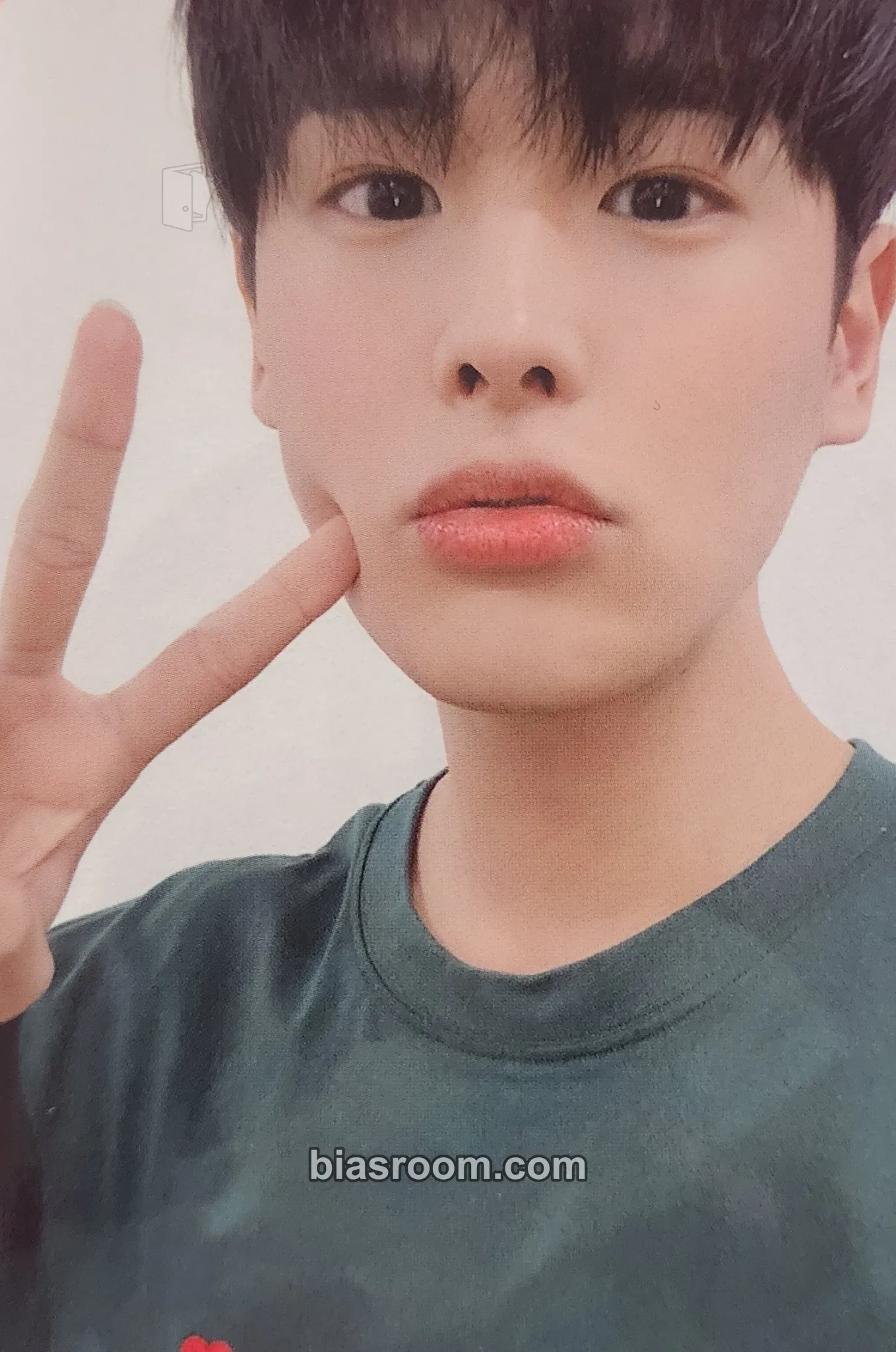Byungchan ALICE JAPAN Anniversary (1st, 2nd) Photocard - VICTON - VICTON K-pop photocard