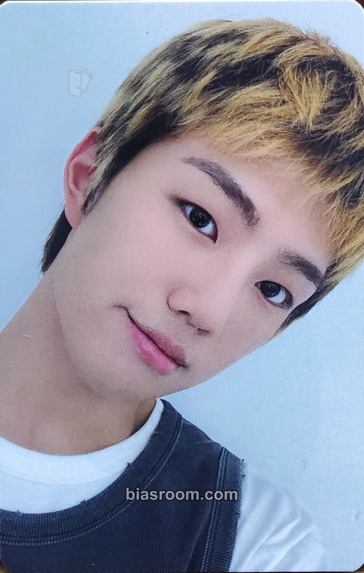 Park Jihoo 2025 EVNNE CONCERT ‘SET N GO’ Photocard - EVNNE - EVNNE K-pop photocard