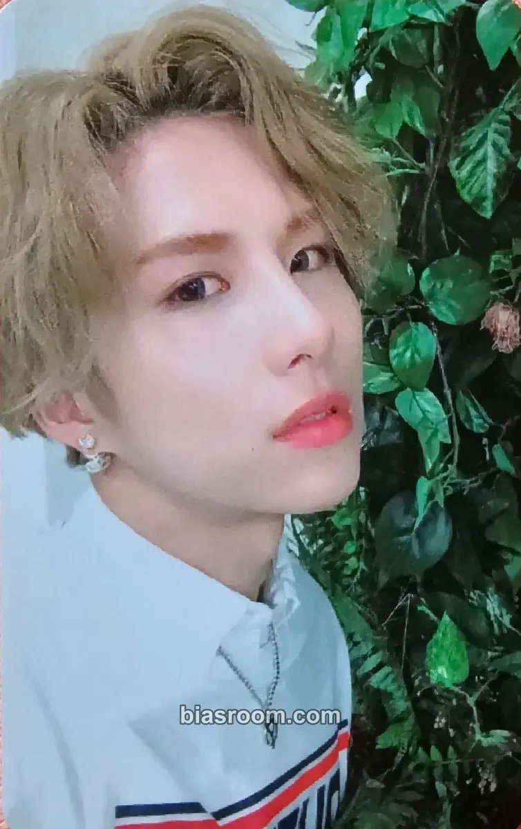 Wow Adventures in Wonderland Photocard - A.C.E - A.C.E K-pop photocard