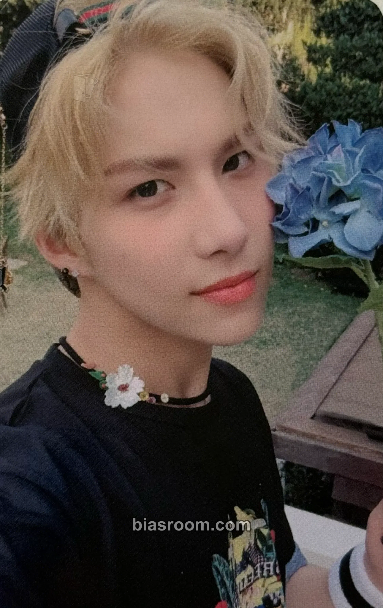 Wow Adventures in Wonderland Photocard - A.C.E - A.C.E K-pop photocard