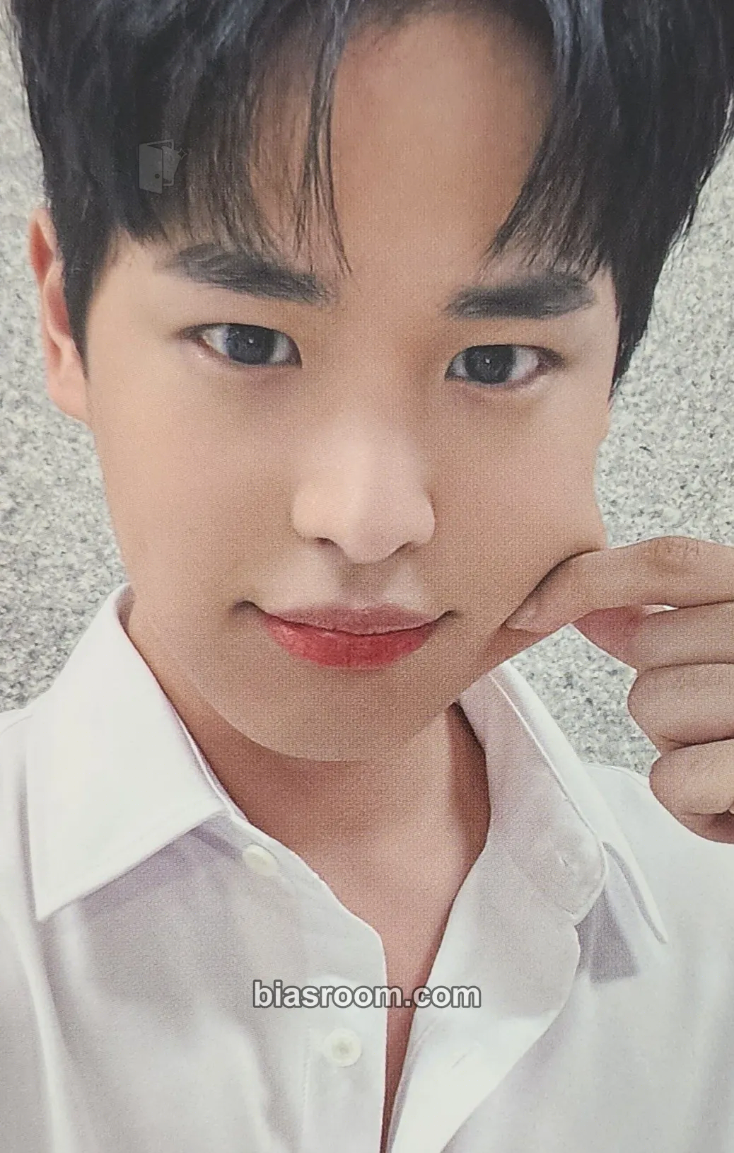 Byungchan Chronicle Fanconcert Photocard - VICTON - VICTON K-pop photocard