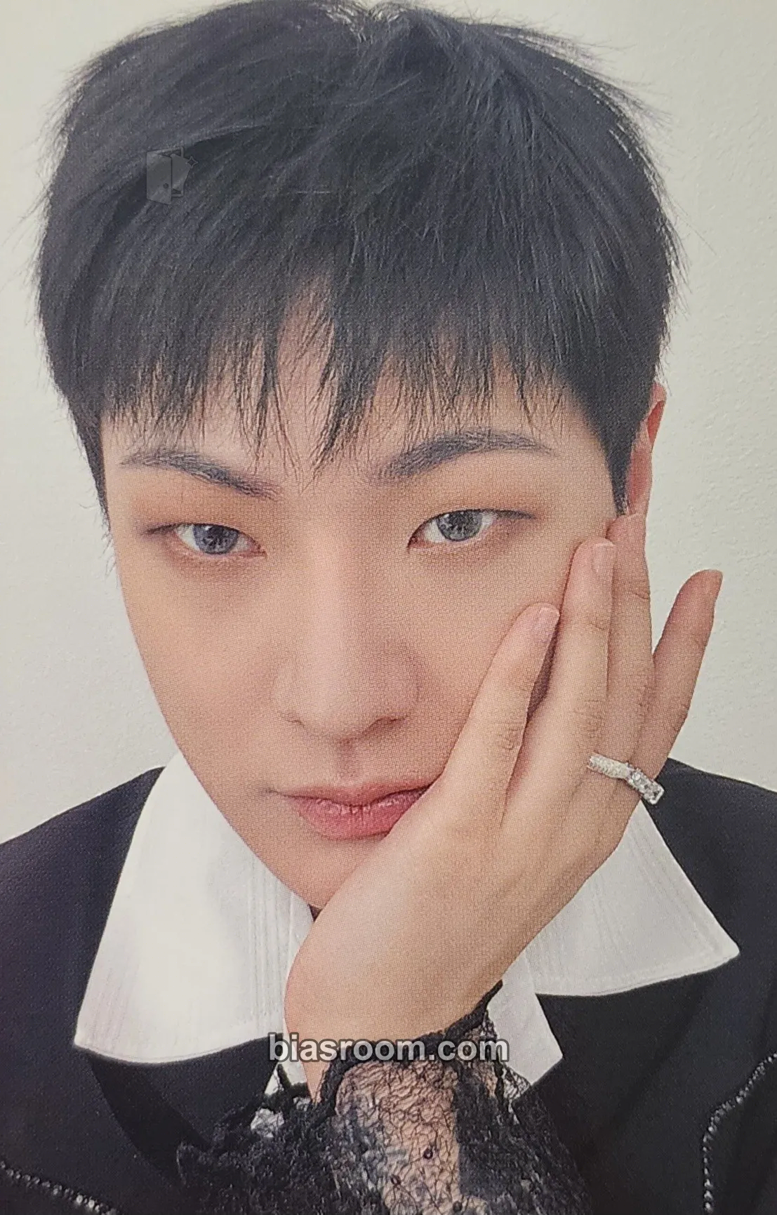 Hanse Chronicle Fanconcert Photocard - VICTON - VICTON K-pop photocard