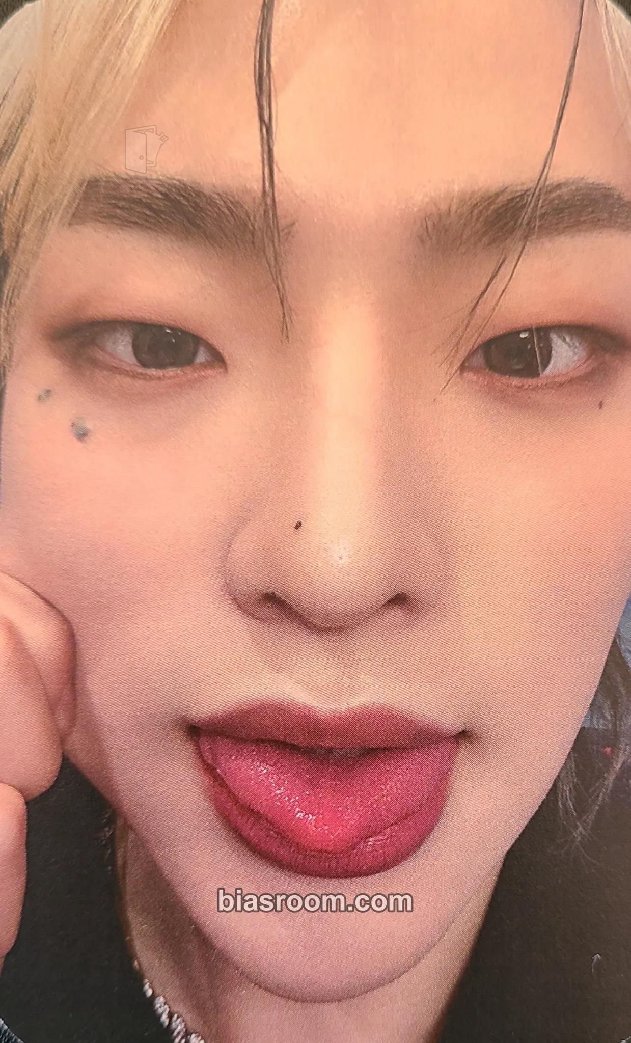Mujin History of Kingdom : PartⅥ. Mujin Photocard - The KingDom - The KingDom K-pop photocard
