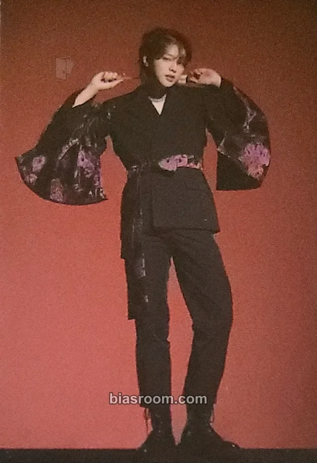 The Kingdom - Mujin - History of Kingdom : PartⅥ. Mujin Album mini photocard album inclusion