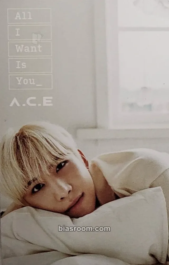 A.C.E - Wow - All I Want Is You Album album photocard