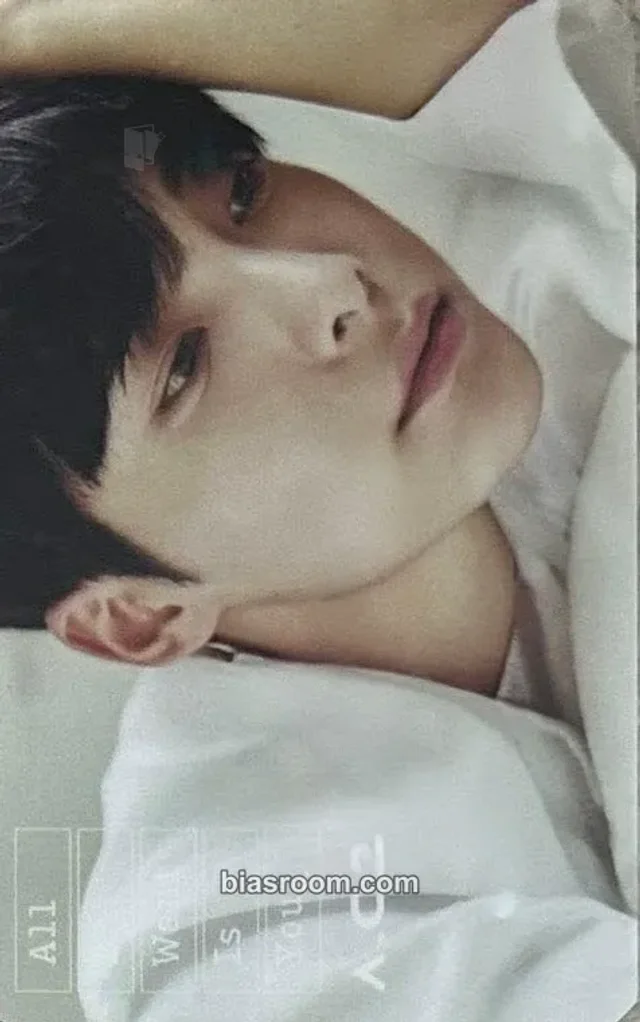 A.C.E - Park Junhee - All I Want Is You Album album photocard japanese album