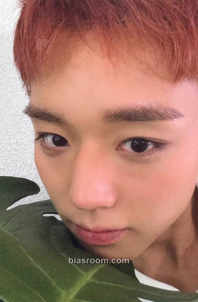 Park Jihoon - Jihoon - RE:FLECT Album album photocard B version