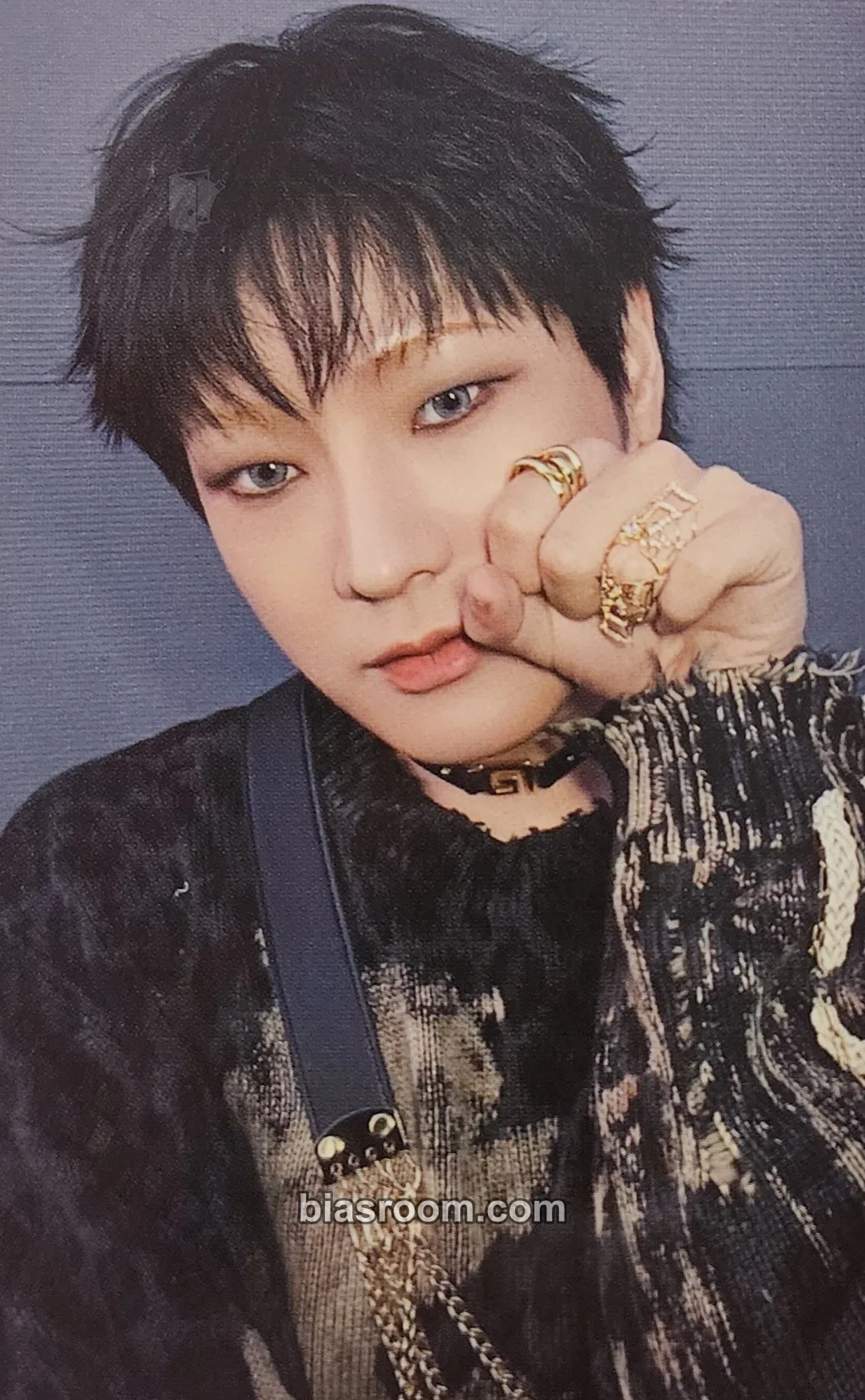 Hanse Choice Photocard - VICTON - VICTON K-pop photocard