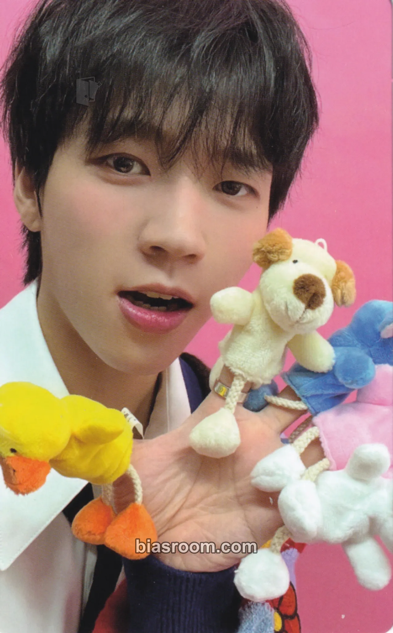 Woohyun Whitree (Woohyun Solo) Photocard - INFINITE - INFINITE K-pop photocard