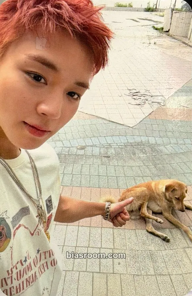 Jihoon RE:FLECT Photocard - Park Jihoon - Park Jihoon K-pop photocard