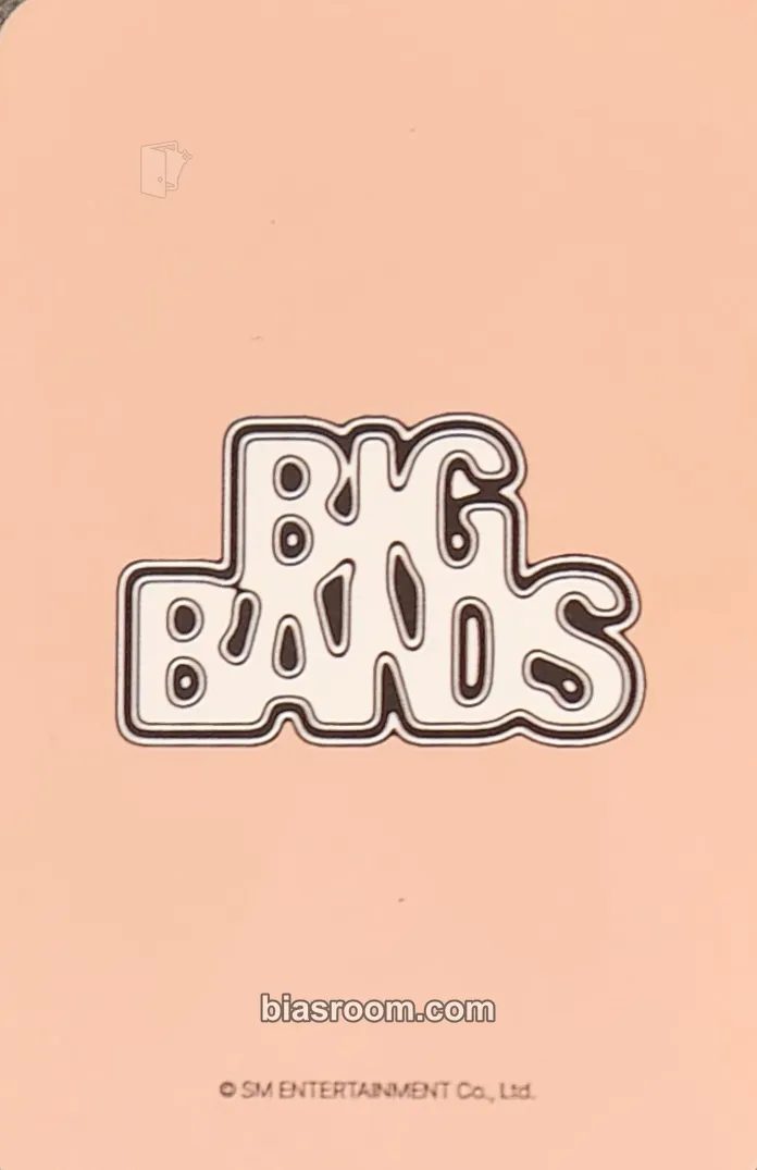 Kun BIG BANDS Photocard - WayV | Bias Room