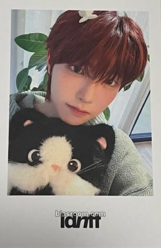 Choi GyeongBeen yesweare Photocard - idntt - idntt K-pop photocard