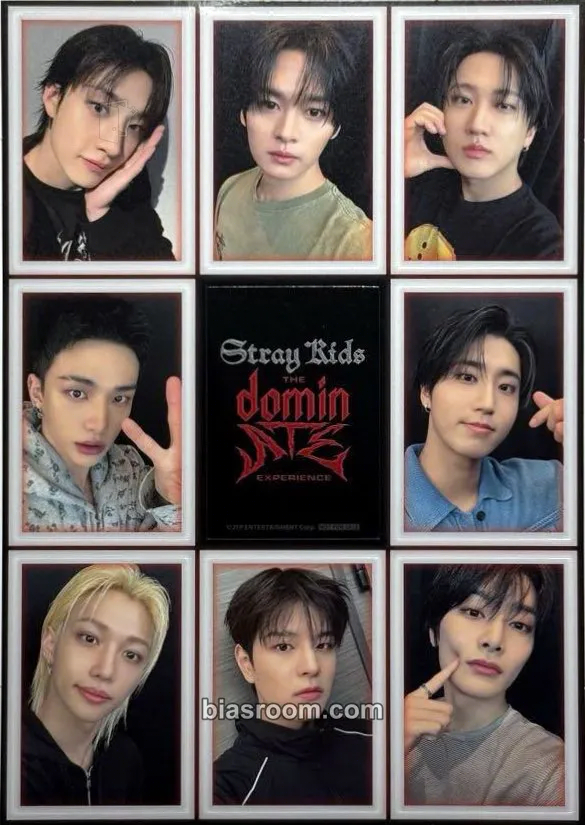 Stray Kids : The dominATE Experience Photocard - Stray Kids - Stray Kids K-pop photocard