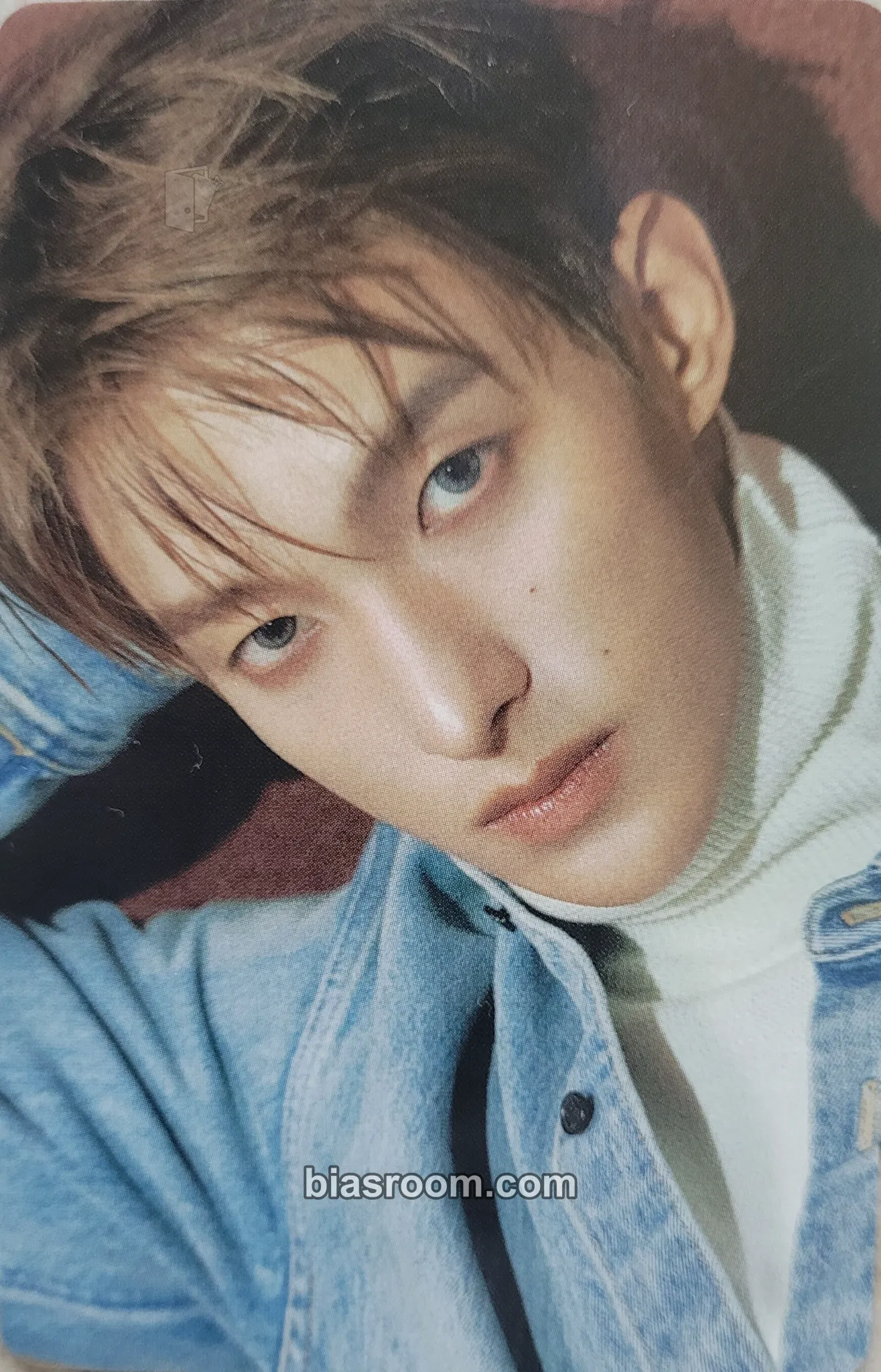 DK Serenade Photocard - SEVENTEEN - SEVENTEEN K-pop photocard