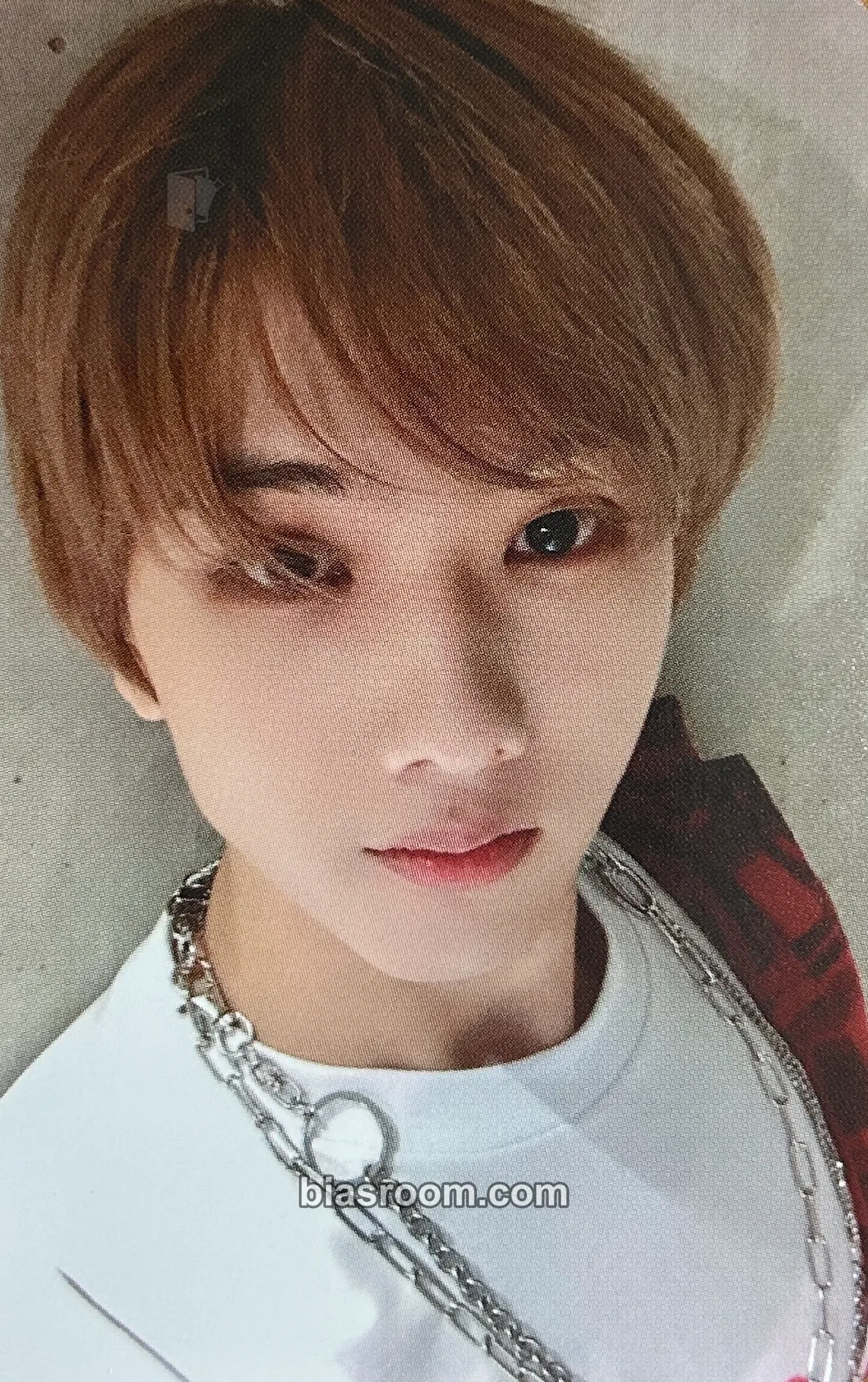 Jisung DICON D’FESTA NCT DREAM DISPATCH 10TH ANNIVERSARY Photocard - NCT DREAM - NCT DREAM K-pop photocard