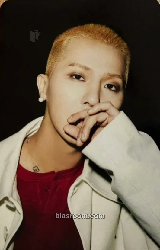 Mino HOLIDAY Photocard - WINNER - WINNER K-pop photocard