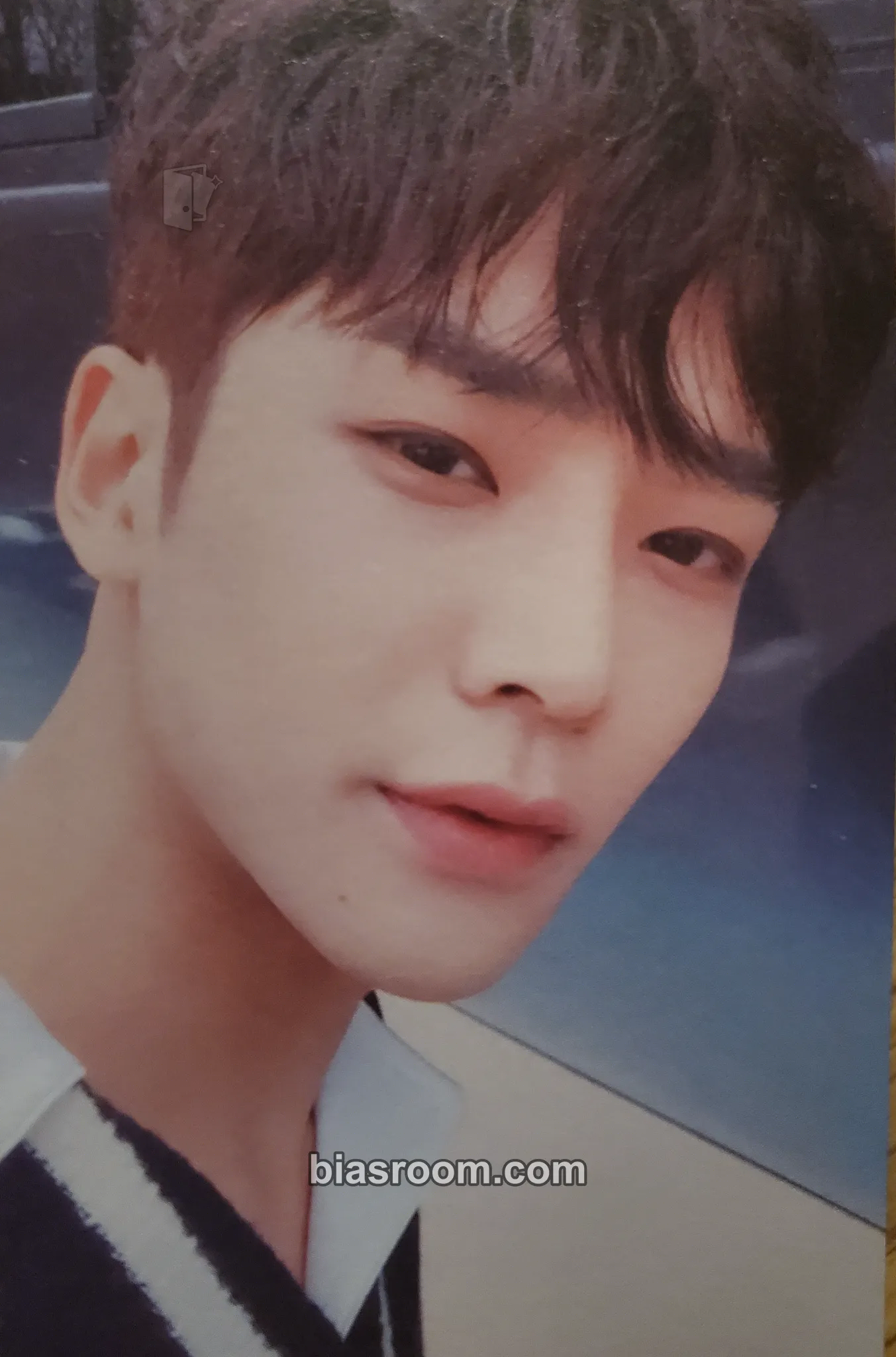 Rowoon Breaking Sensation Photocard - SF9 - SF9 K-pop photocard