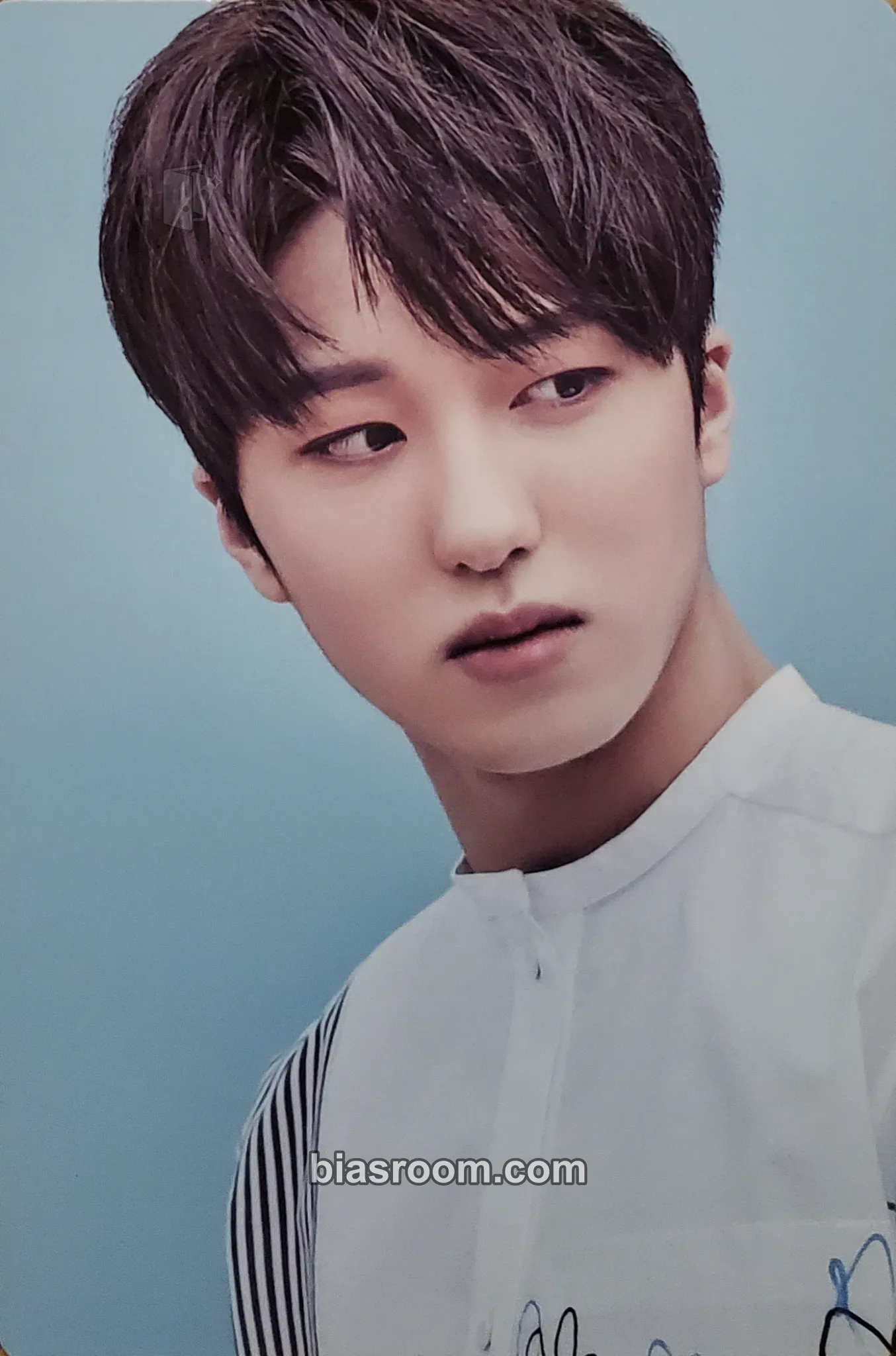 Chani Breaking Sensation Photocard - SF9 - SF9 K-pop photocard