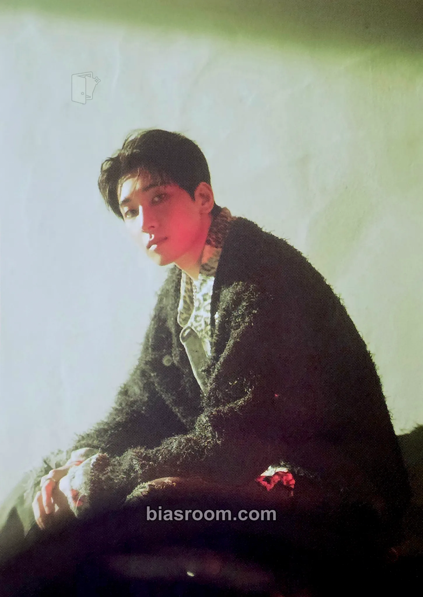 Wonwoo HAPPY BURSTDAY Photocard - SEVENTEEN - SEVENTEEN K-pop photocard