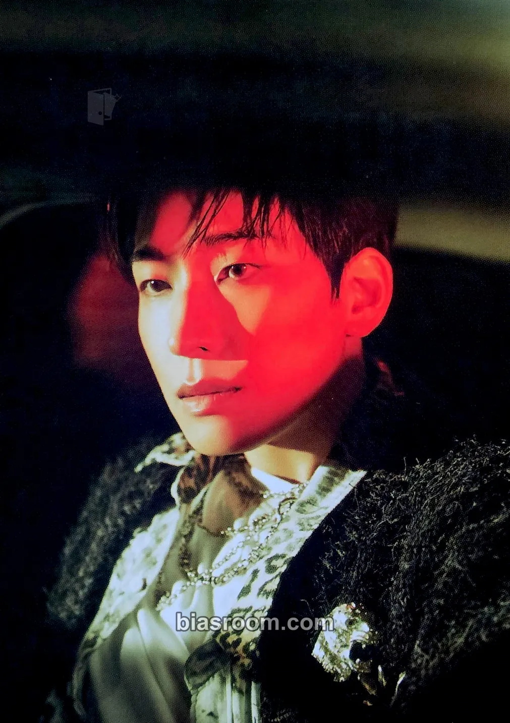 Wonwoo HAPPY BURSTDAY Photocard - SEVENTEEN - SEVENTEEN K-pop photocard