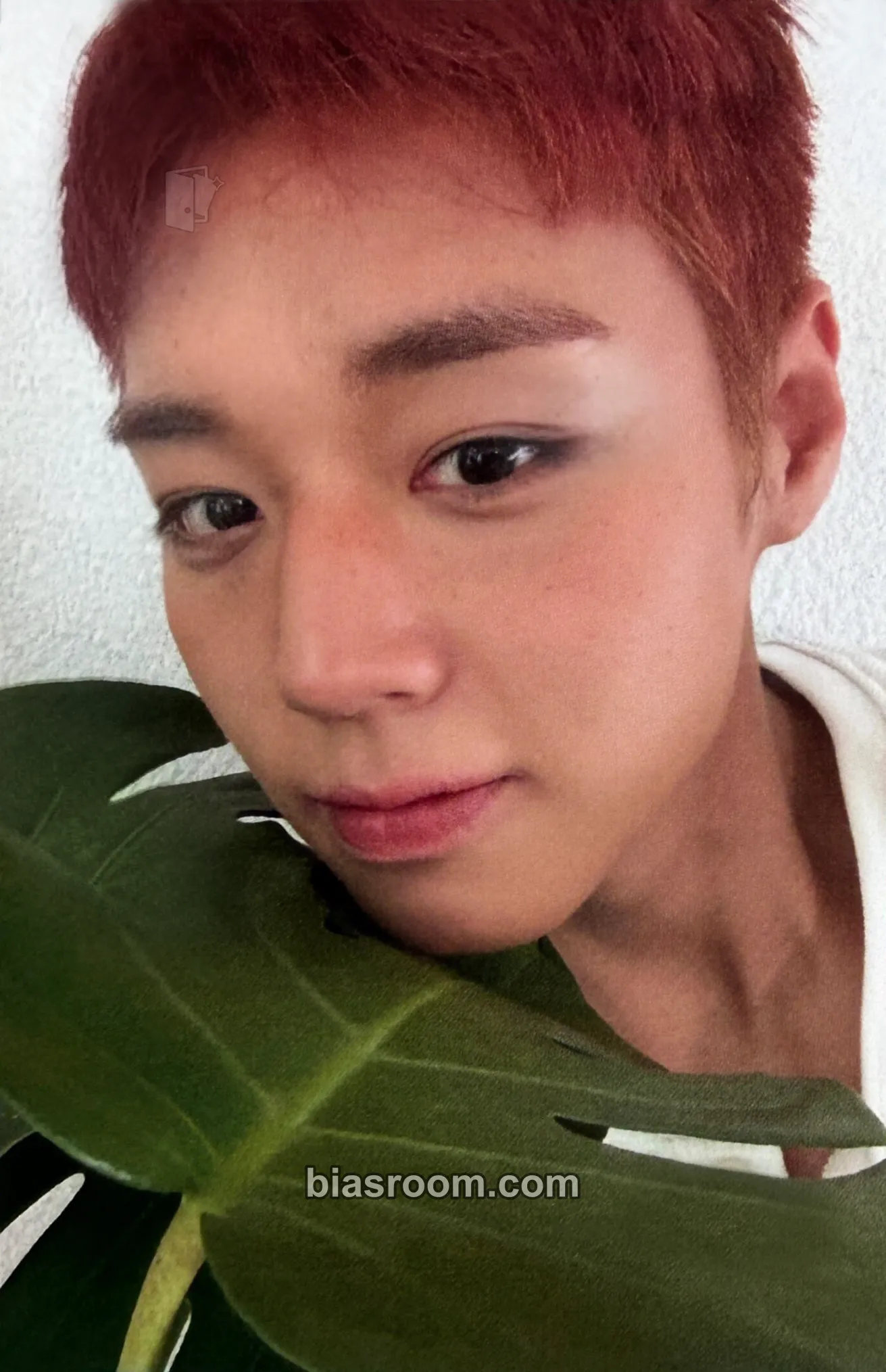 Jihoon RE:FLECT Photocard - Park Jihoon - Park Jihoon K-pop photocard