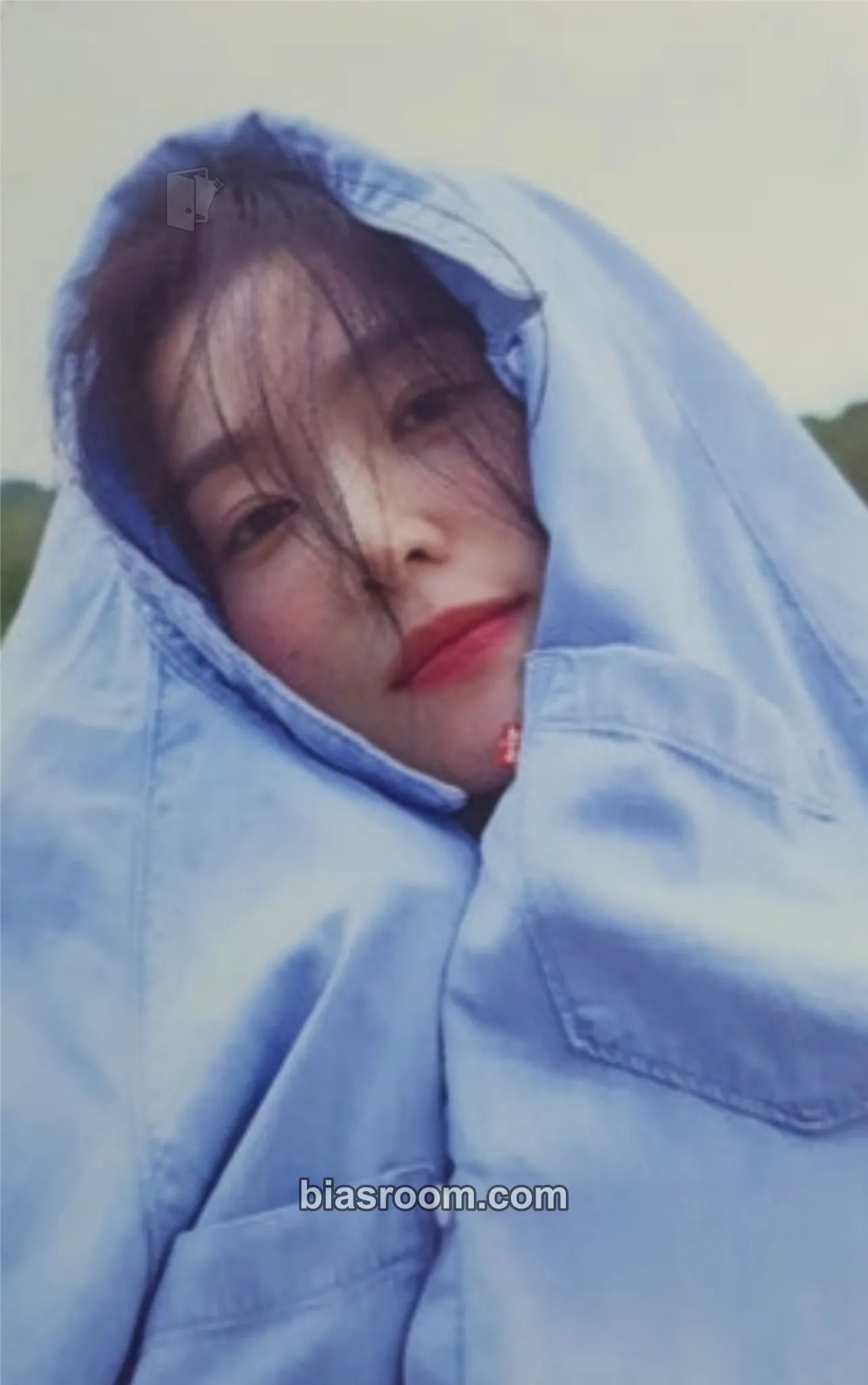 Irene 1 Page of IRENE Photocard - Red Velvet - Red Velvet K-pop photocard